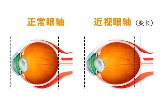 微信图片_20230410082608.jpg 微信图片_20230410082608.jpg